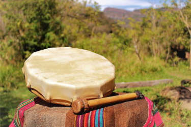 21 feb: Het Amazone Plantdieet Bolivia