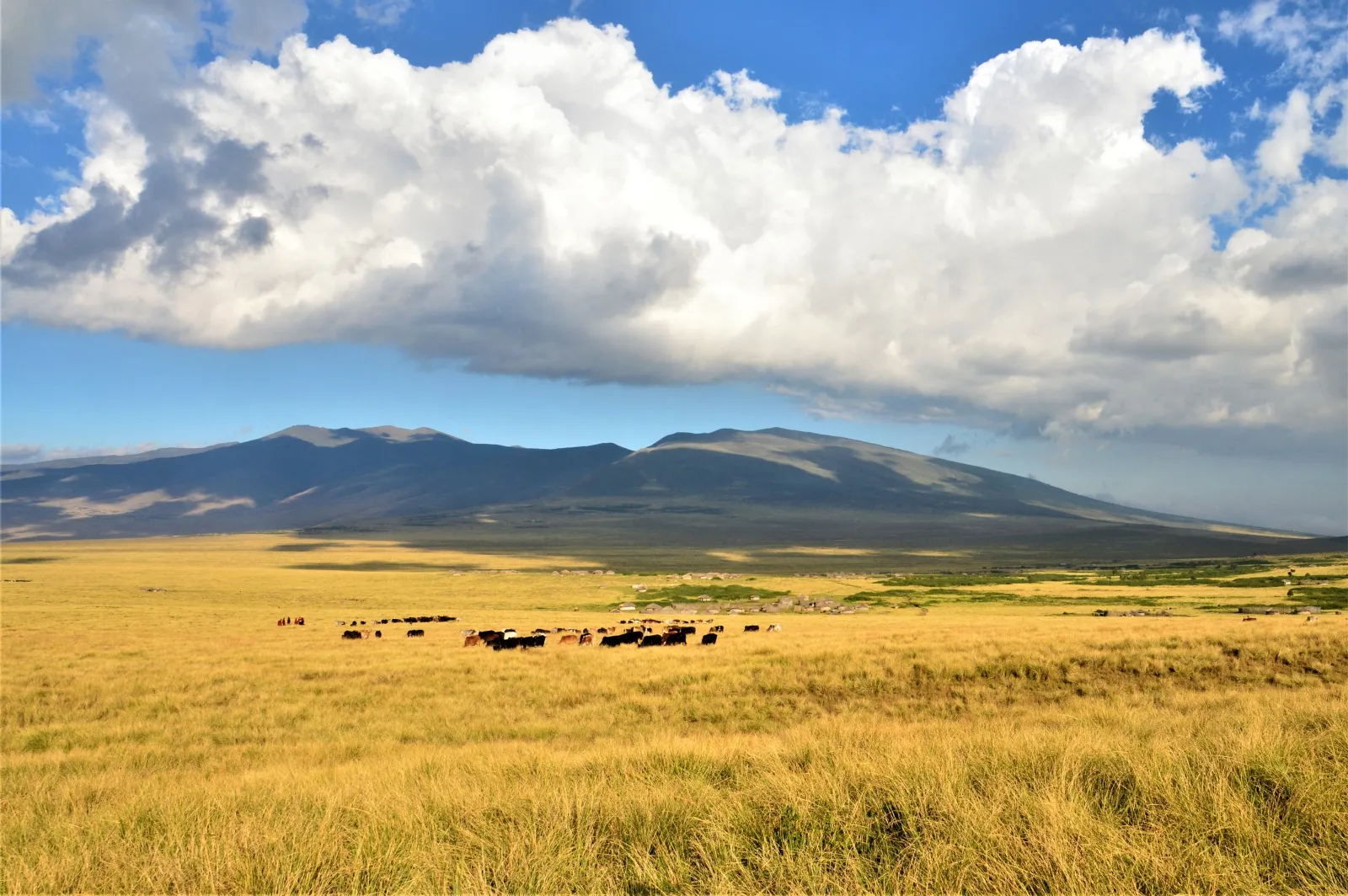 Kerst Retraite wandelsafari Ngorongoro - dsc 0285.