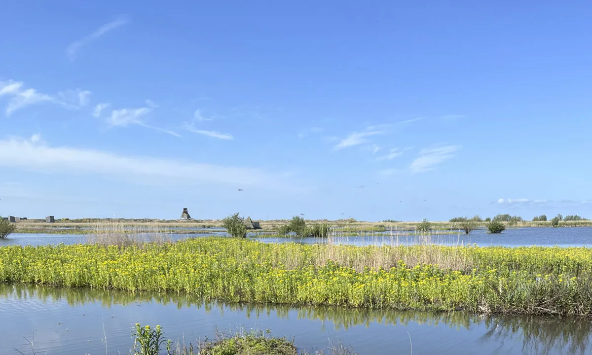 Mindfulness & zeilretraite op de Marker Wadden - markerwadden3.