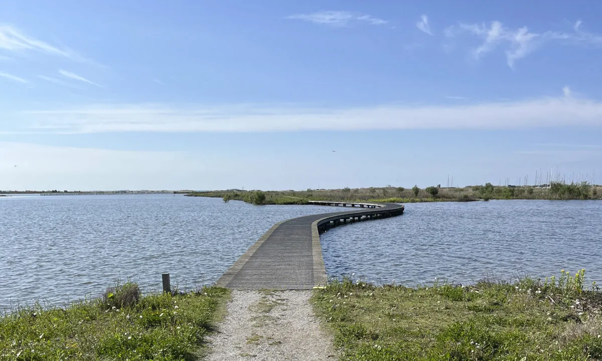 Mindfulness & zeilretraite op de Marker Wadden - markerwadden4.