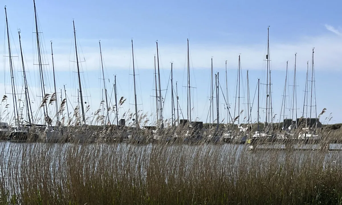 Mindfulness & zeilretraite op de Marker Wadden - markerwadden5.