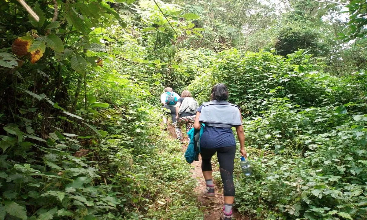 Volg je Hart retraite met Safari door berg en kust - 2019 5.
