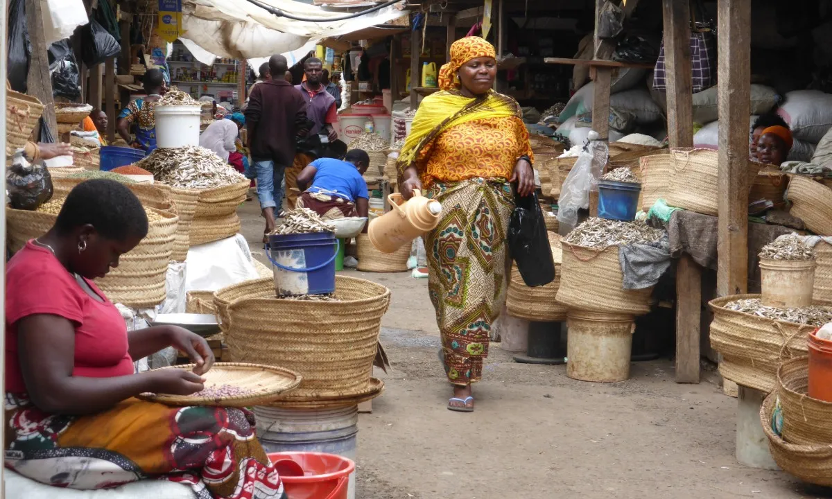 Volg je Hart retraite met Safari door berg en kust - p1060394.