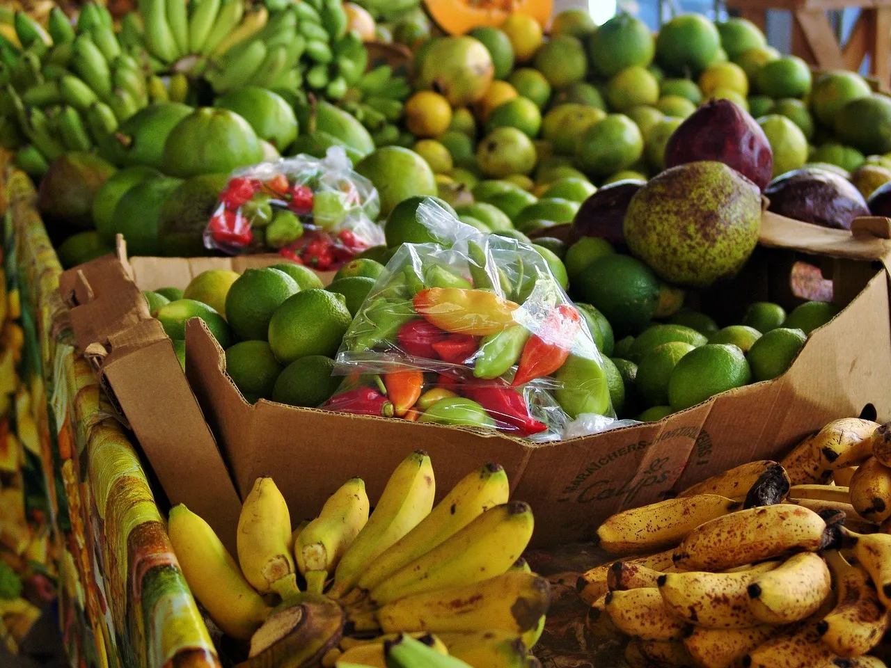 Unieke Gezinsretraite vakantie Caribbean - 11.