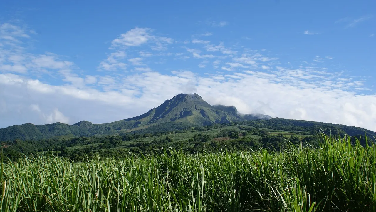 Zeilvakantie Azoren met je gezin: Verbinding & Avontuur - martinique 1.