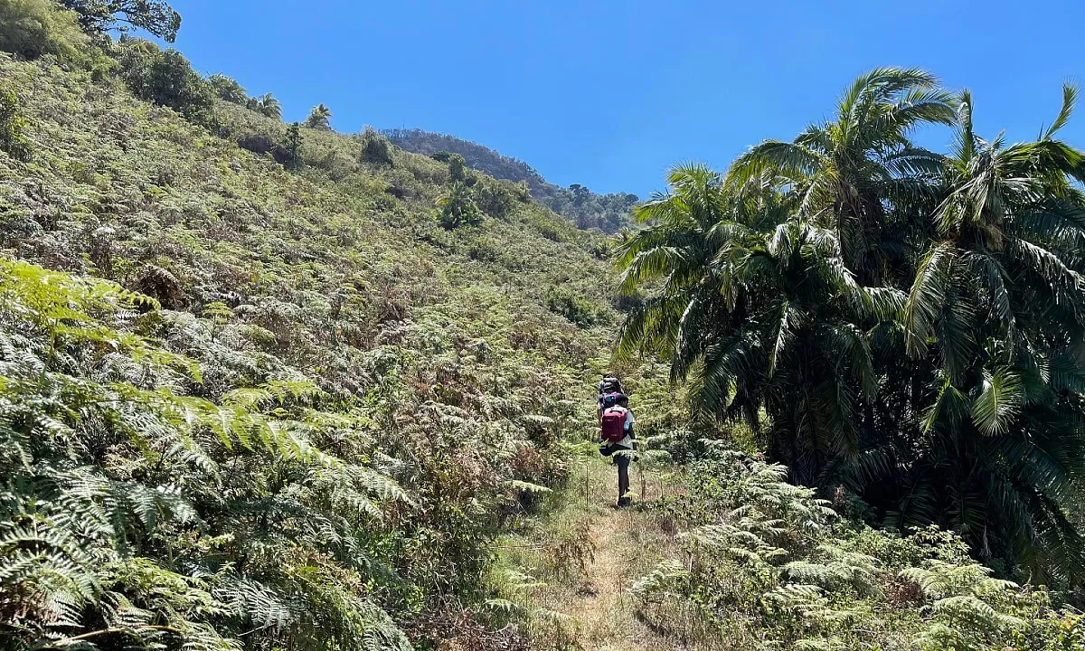 Wandelsafari Mannen retreat - mannen reis tanzania .