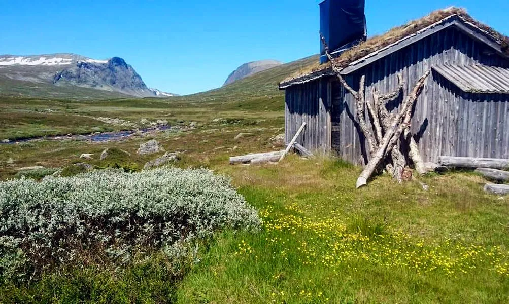 Individuele retraite Zweedse wildernis: avontuur en reflectie - nordsatern.