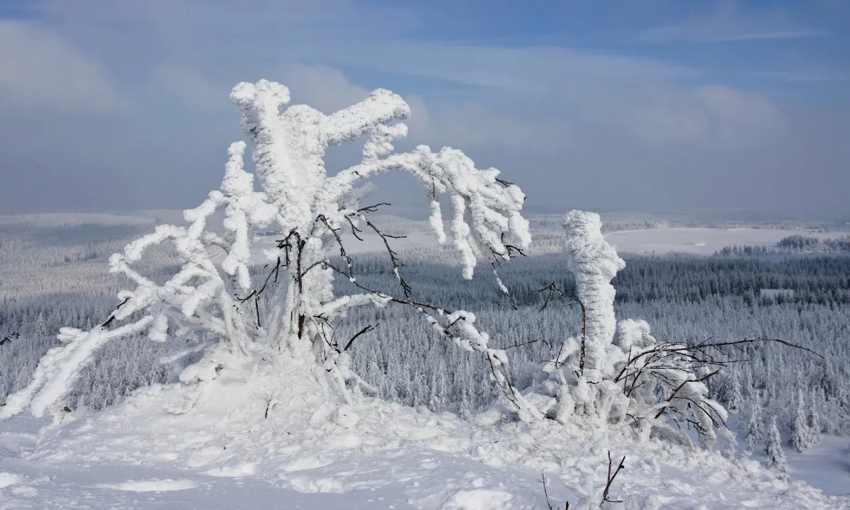 Winter expeditie Zweden: extreme survival en zelfontdekking - depositphotos 335395186 1200x720.