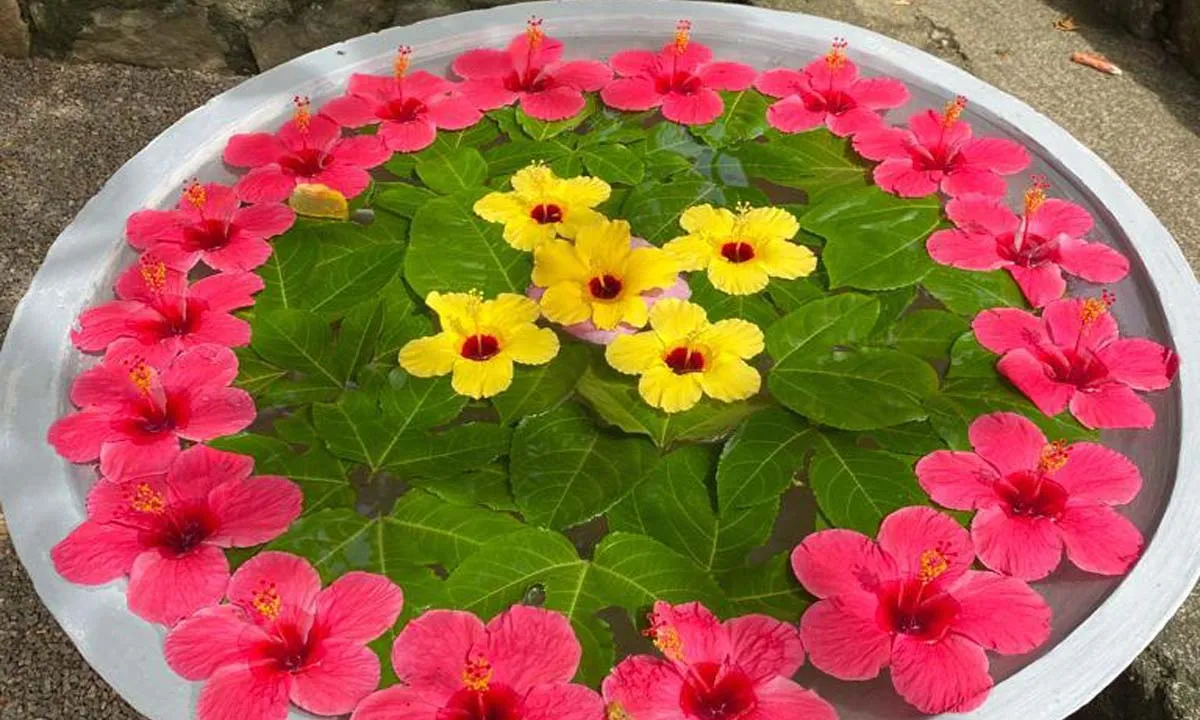 Luxe Ayurveda retreat aan zee op Sri Lanka - sri lanka 3.