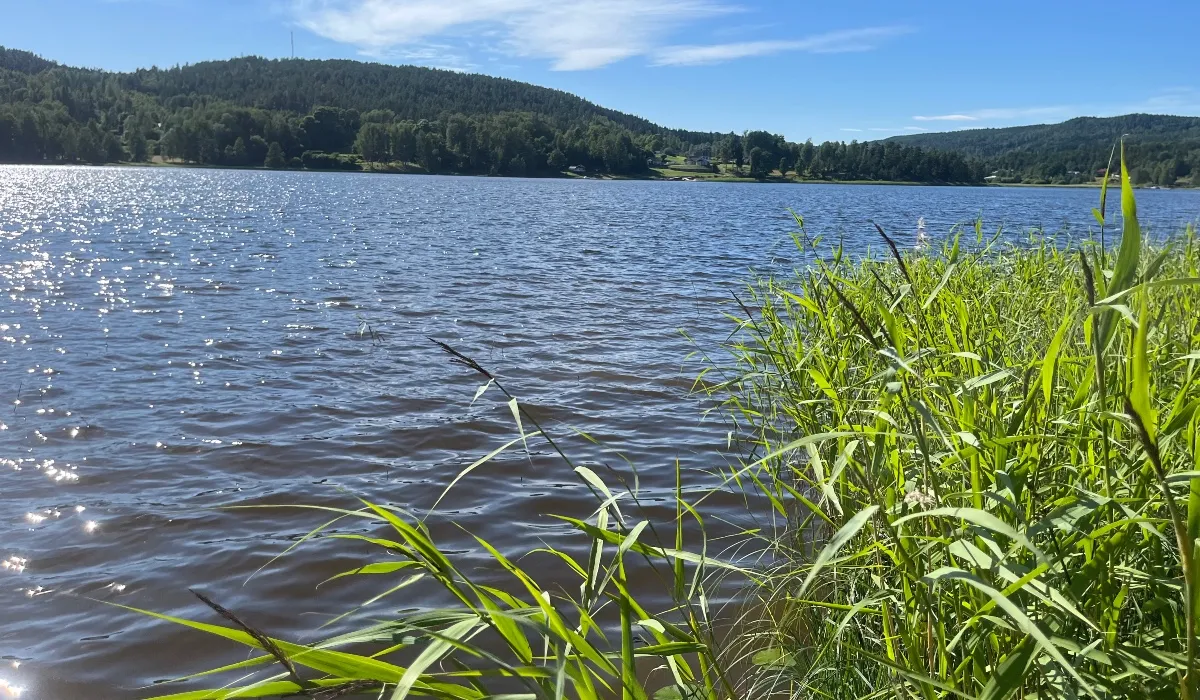 Ayurveda Retraite Zweden: vrouwen in de overgang - img 8375.