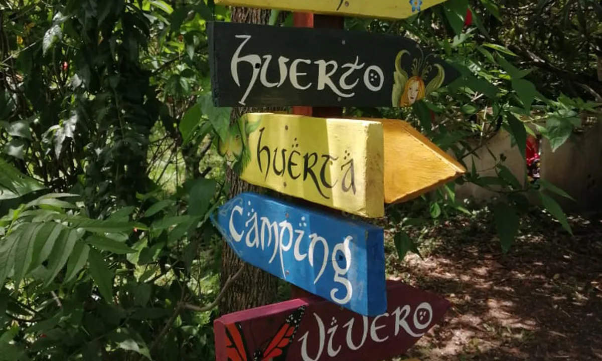 Spirituele reis: Het Amazone Plantdieet - letreros.