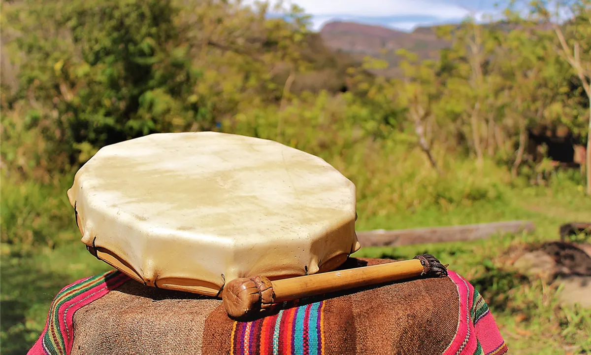 Individuele Sjamanistische Ayahuasca Retraite - tambor.