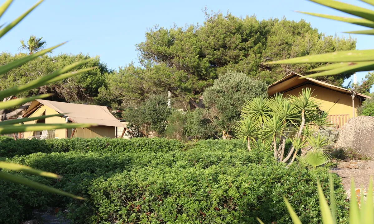 Zomer Retraite Sardinië  - diana 11.