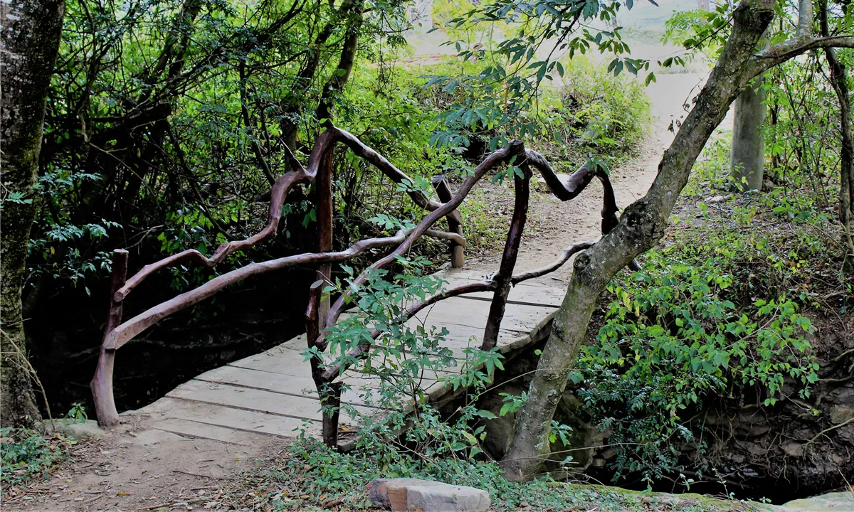 Sjamanistische Solo Coaching Retraite  - ingang.